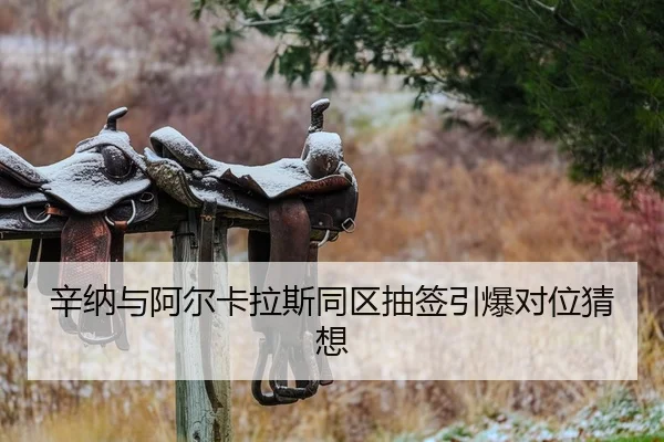 辛纳与阿尔卡拉斯同区抽签引爆对位猜想